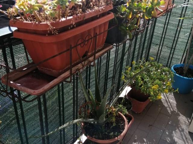 Appartamento in affitto a Centro Storico, Caserta