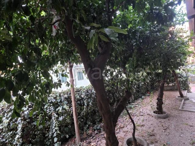 Appartamento in affitto a Centro Storico, Caserta