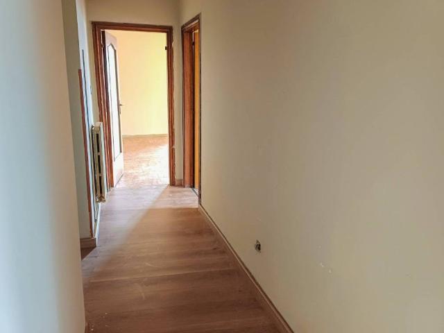 Appartamento in affitto a Siano, Calabria