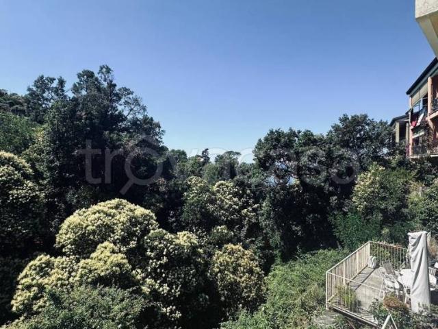 Appartamento in affitto a Lavagna, Liguria
