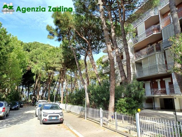Appartamento in affitto a Zadina, Cesenatico