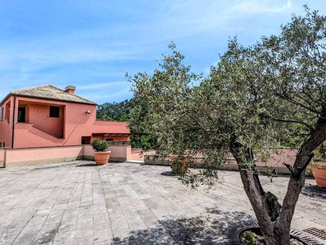 Appartamento in affitto a Cogoleto, Liguria