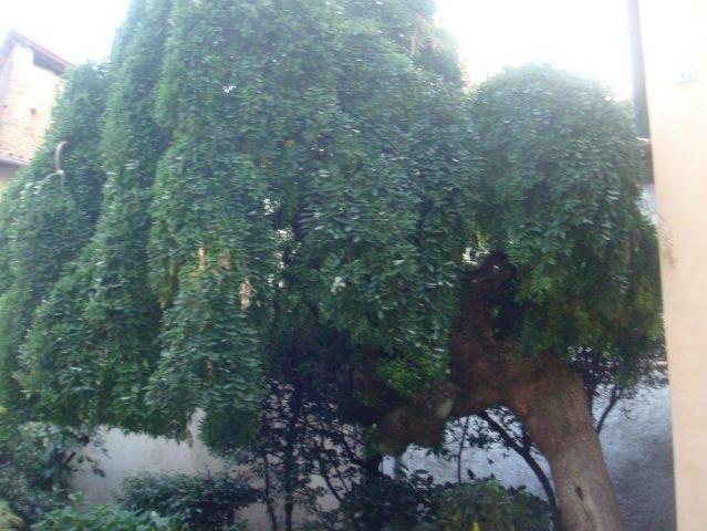 Appartamento in affitto a Colle Brianza, Lombardia