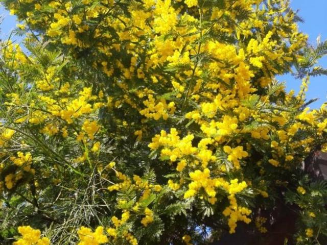 Appartamento in affitto a Corbetta, Lombardia