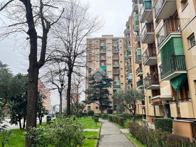 Appartamento in affitto a Quartiere Lavagna, Corsico