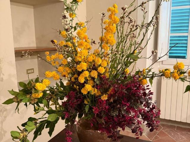Appartamento in affitto a Cortona, Toscana