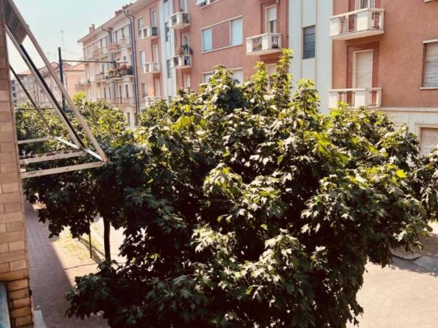 Appartamento in affitto a Cuneo Nuova, Piemonte