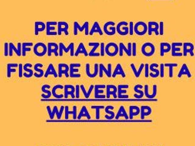 Appartamento in affitto a Piemonte, Cuneo