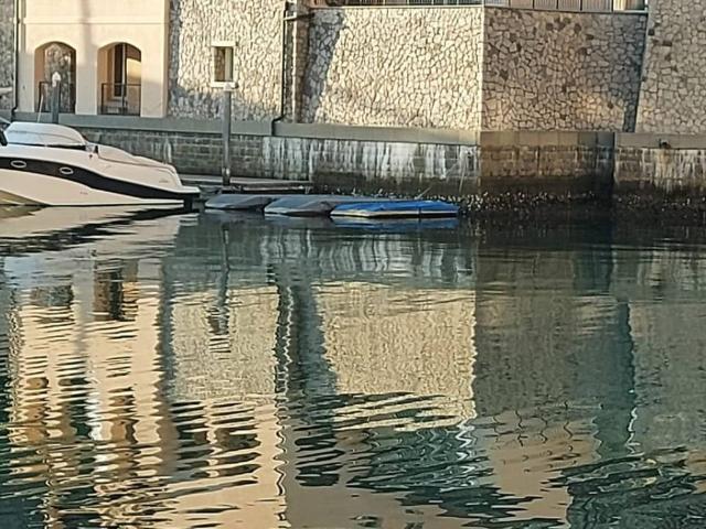 Appartamento in affitto a Borgo San Mauro / Naselje Svetega Mavra, Aurisina