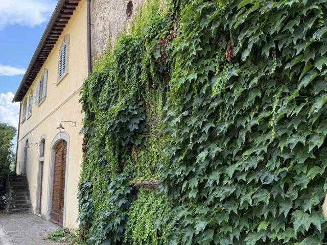 Appartamento in affitto a Fiesole, Toscana
