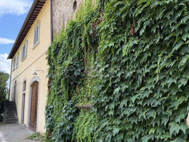Appartamento in affitto a Fiesole, Toscana
