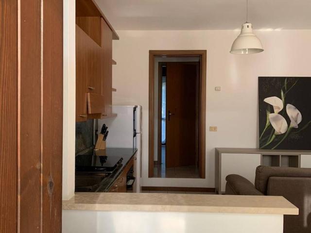 Appartamento in affitto a Fiesso Umbertiano, Veneto