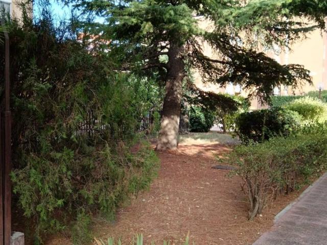 Appartamento in affitto a Puglia, Foggia