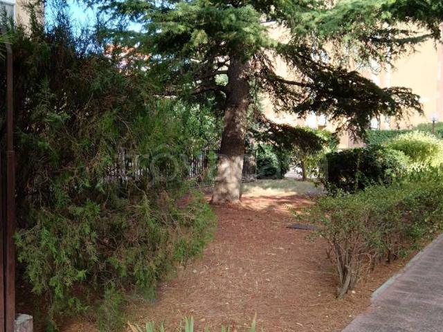 Appartamento in affitto a Puglia, Foggia