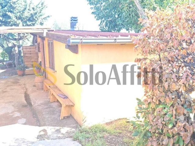 Appartamento in affitto a Colle Pizzuto, Frascati