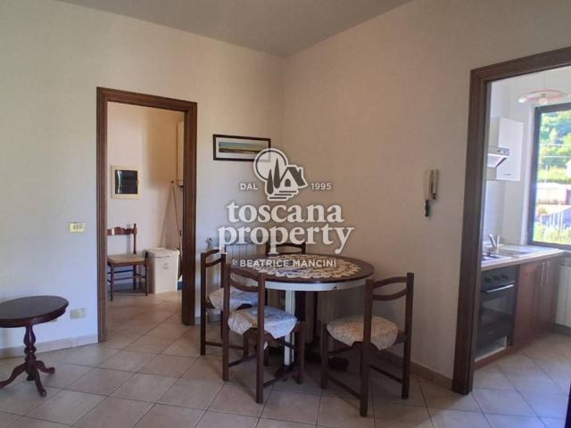 Appartamento in affitto a Colle Aginaia, Gallicano