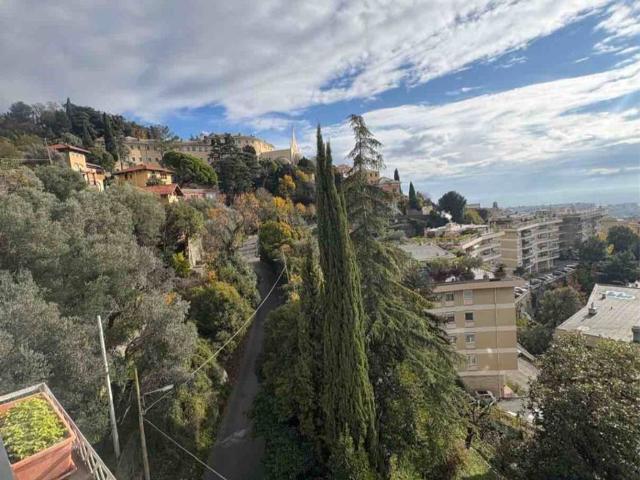 Appartamento in affitto a Centro Est, Serra Riccò