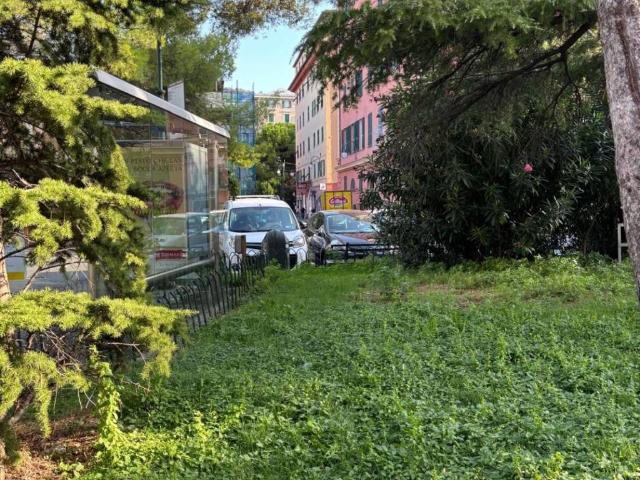 Appartamento in affitto a Centro Est, Serra Riccò