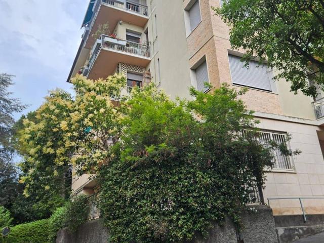 Appartamento in affitto a Levante, Serra Riccò