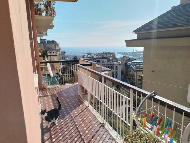 Appartamento in affitto a Righi, Genova