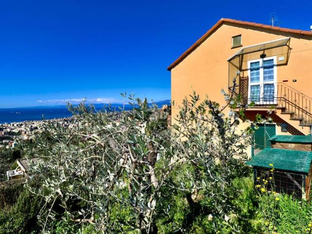 Appartamento in affitto a Levante, Serra Riccò
