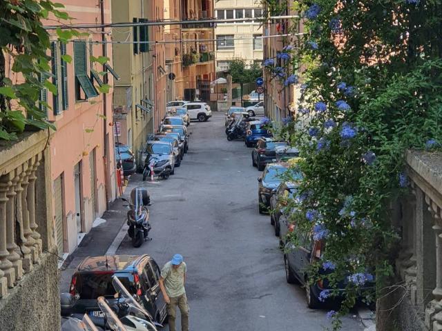Appartamento in affitto a Centro Ovest, Serra Riccò