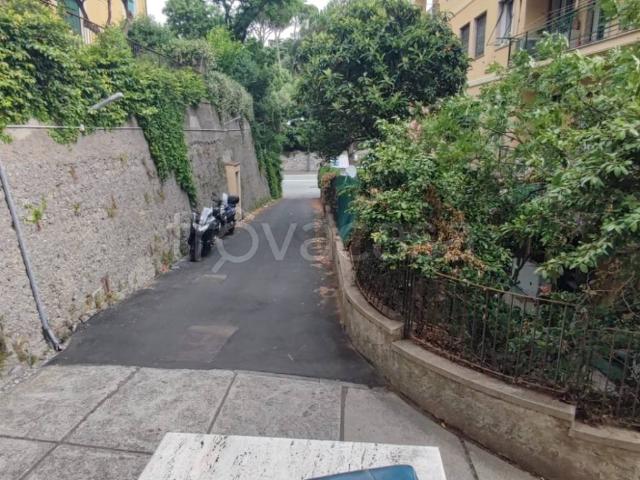 Appartamento in affitto a Medio Levante, Serra Riccò
