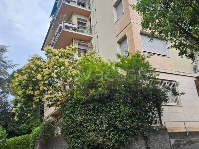 Appartamento in affitto a Levante, Serra Riccò