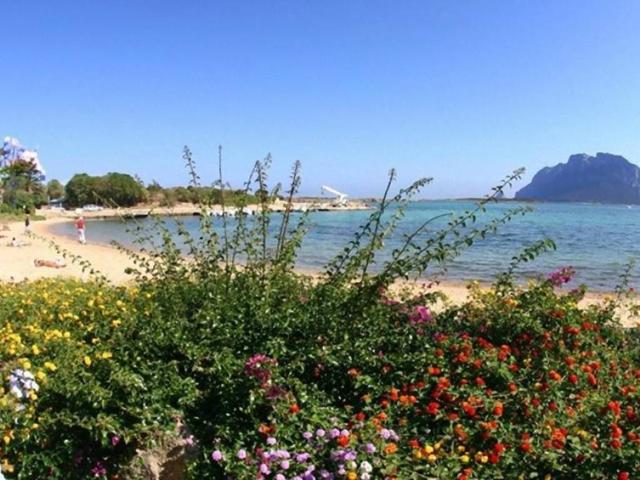 Appartamento in affitto a Baia de Bahas, Golfo Aranci