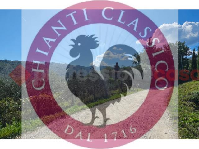 Appartamento in affitto a San Polo In Chianti, Firenze