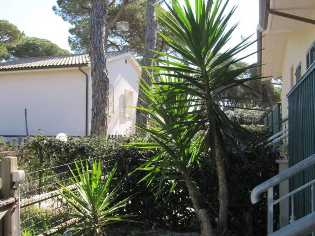Appartamento in affitto a Sciangai, Monte Argentario