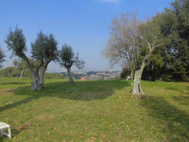 Appartamento in affitto a Grottaferrata, Roma Capitale
