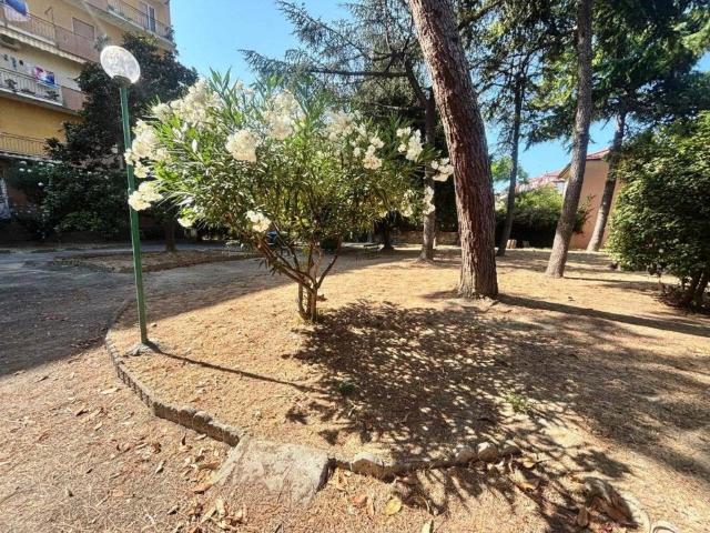 Appartamento in affitto a Carpasio, Liguria