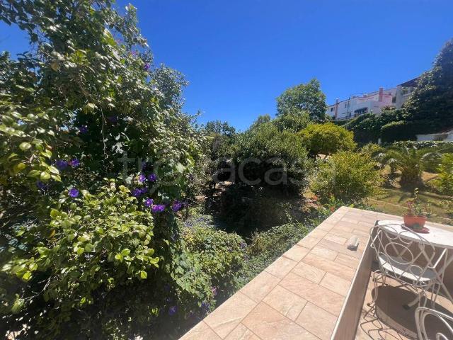 Appartamento in affitto a Piripissa, Ischia