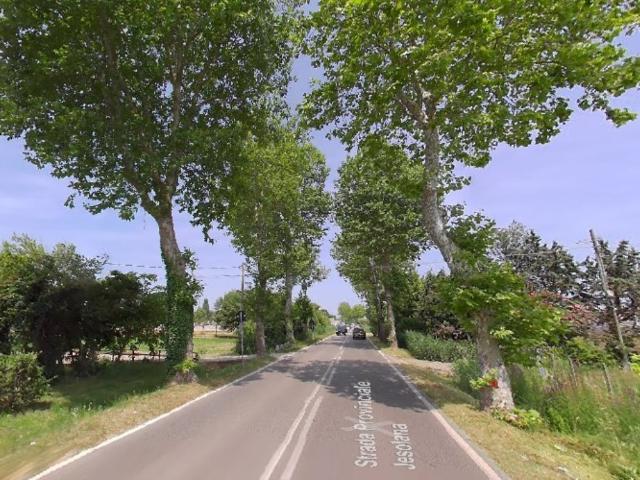 Appartamento in affitto a Jesolo, Veneto