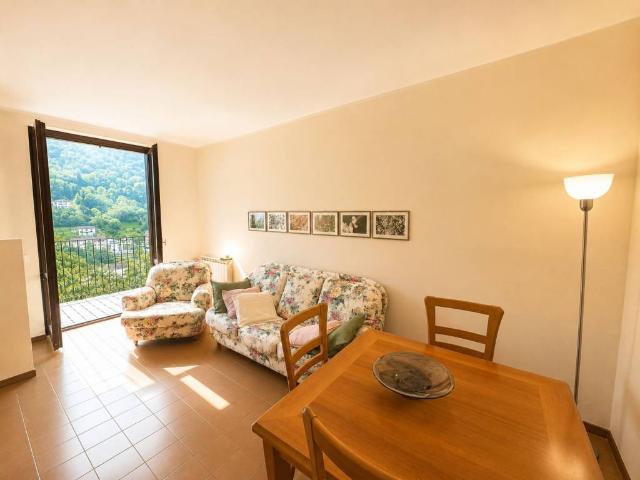 Appartamento in affitto a Malavedo, Lecco