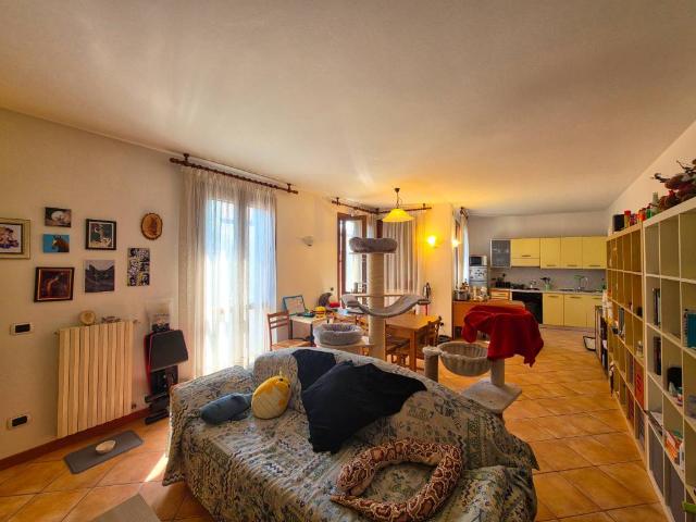 Appartamento in affitto a Legnaro, Veneto