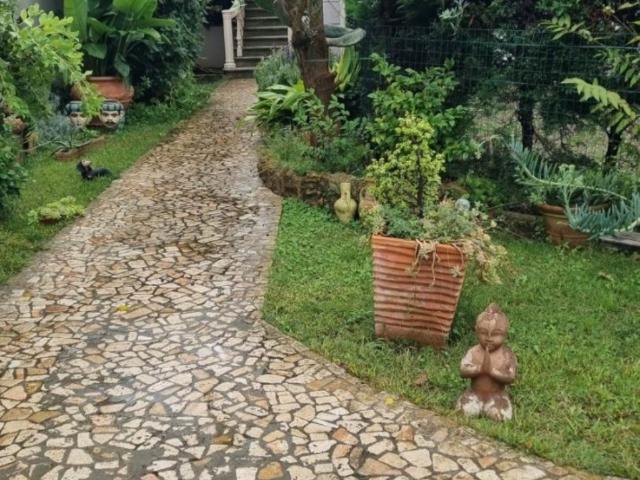 Appartamento in affitto a Borgo Cappuccini, Livorno