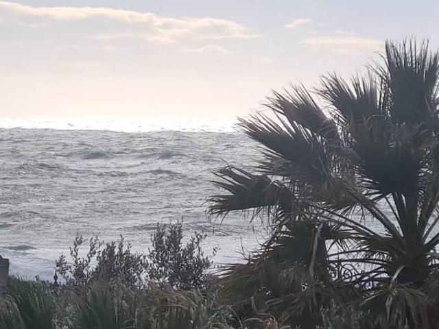 Appartamento in affitto a Livorno, Toscana