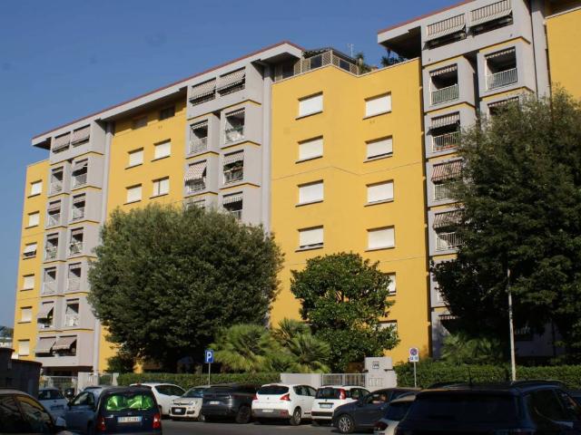 Appartamento in affitto a Livorno Appartamento in affitto a Livorno