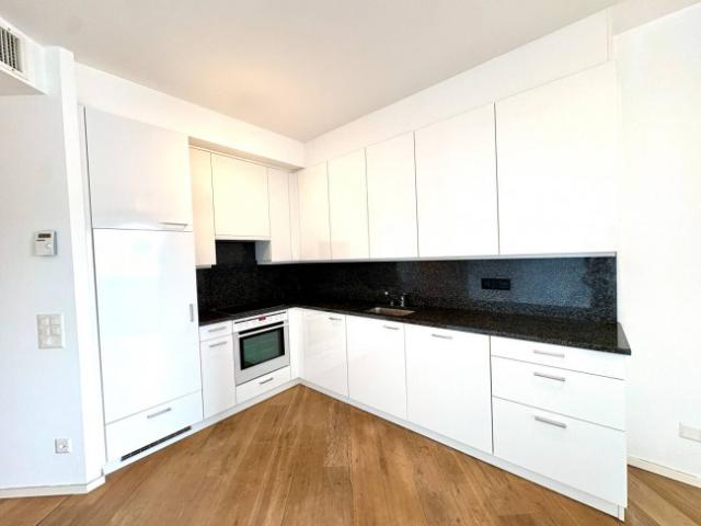 Apartment mieten in Molino Nuovo, Lugano