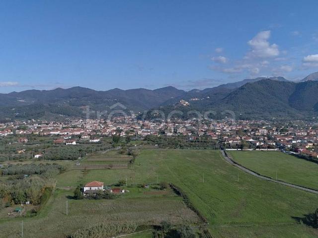 Appartamento in affitto a Luni, Liguria