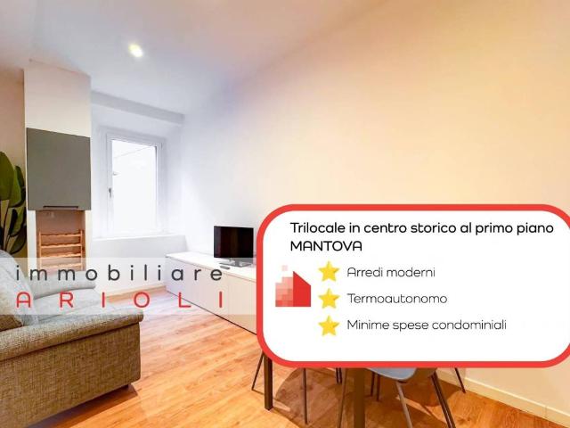 Appartamento in affitto a Rodigo, Lombardia