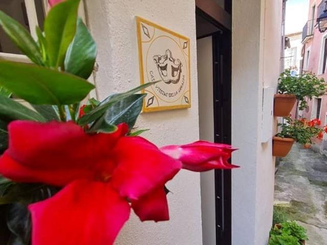 Appartamento in affitto a Santa Caterina, Maratea