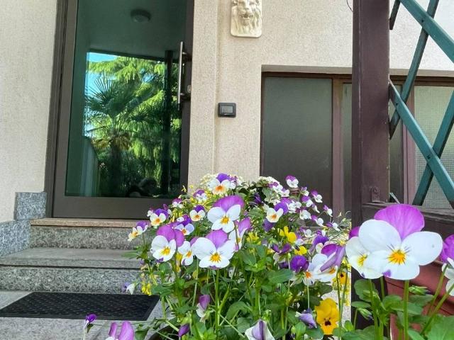Loft in affitto a Meda, Lombardia
