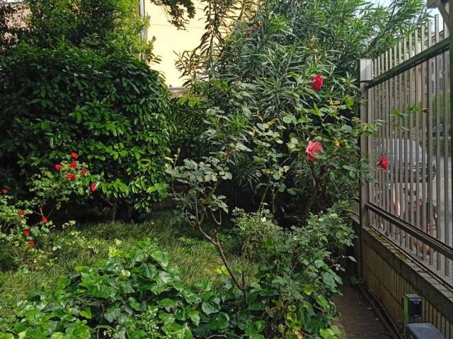 Appartamento in affitto a Municipio 2, Milano