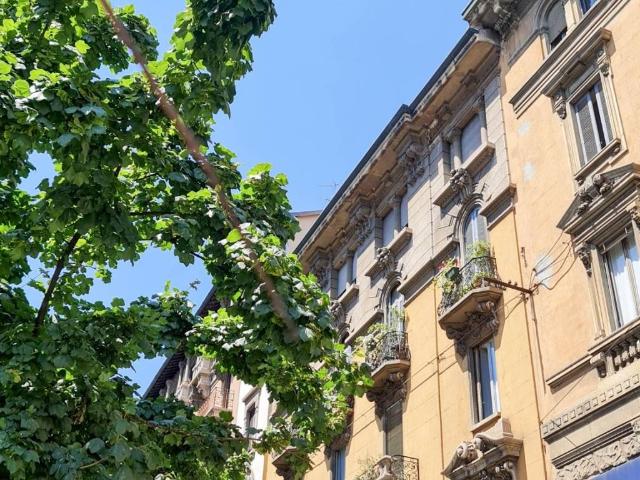 Appartamento in affitto a Municipio 2, Milano