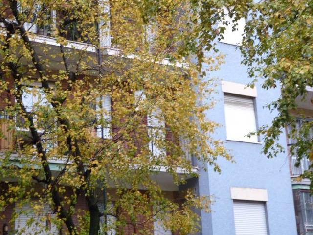 Appartamento in affitto a Municipio 6, Milano