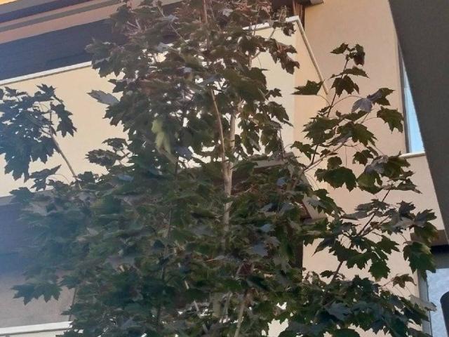 Appartamento in affitto a San Faustino, Modena