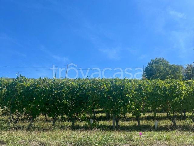 Appartamento in affitto a Campello Sul Clitunno, Umbria